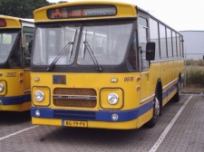 9518.jpg