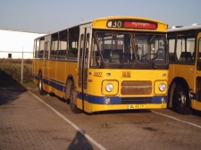 9907.jpg