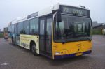 Syntus_2125.JPG