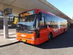 Syntus_3248.JPG