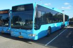 Syntus_5265.JPG