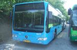 Syntus_5277.JPG