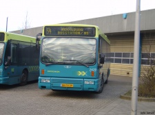 2429.jpg
