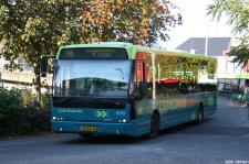 8109.jpg