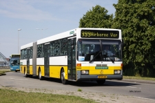 9031.jpg
