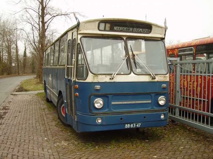 Klik op de foto om originele grootte te bekijken