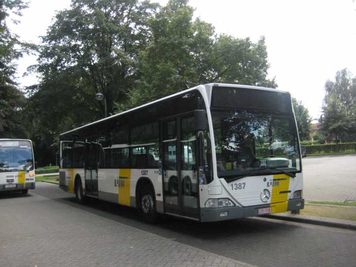 Klik op de foto om originele grootte te bekijken
