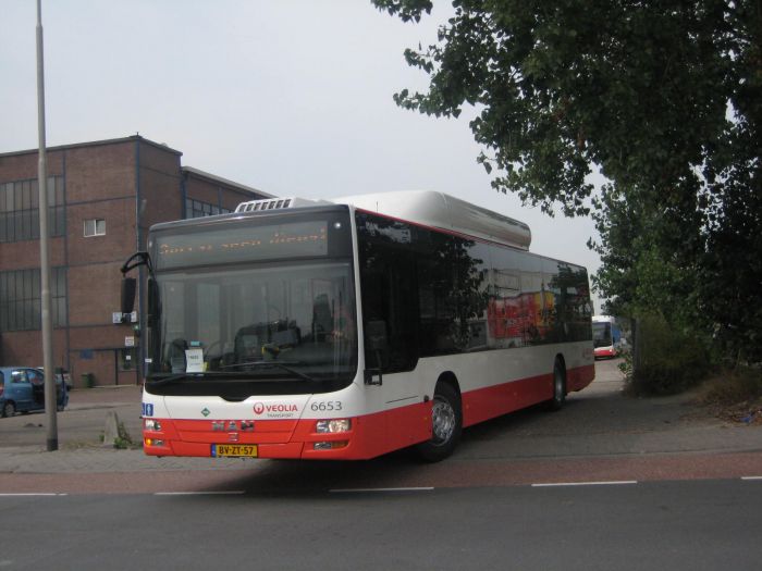 Klik op de foto om originele grootte te bekijken