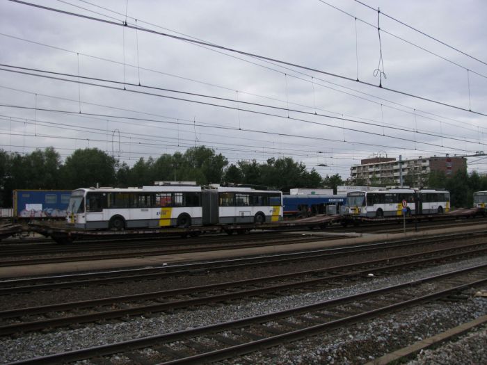 Klik op de foto om originele grootte te bekijken