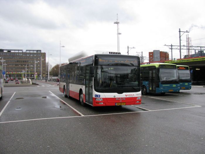 Klik op de foto om originele grootte te bekijken