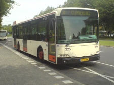 325.JPG