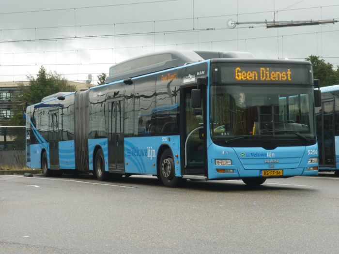 Klik op de foto om originele grootte te bekijken